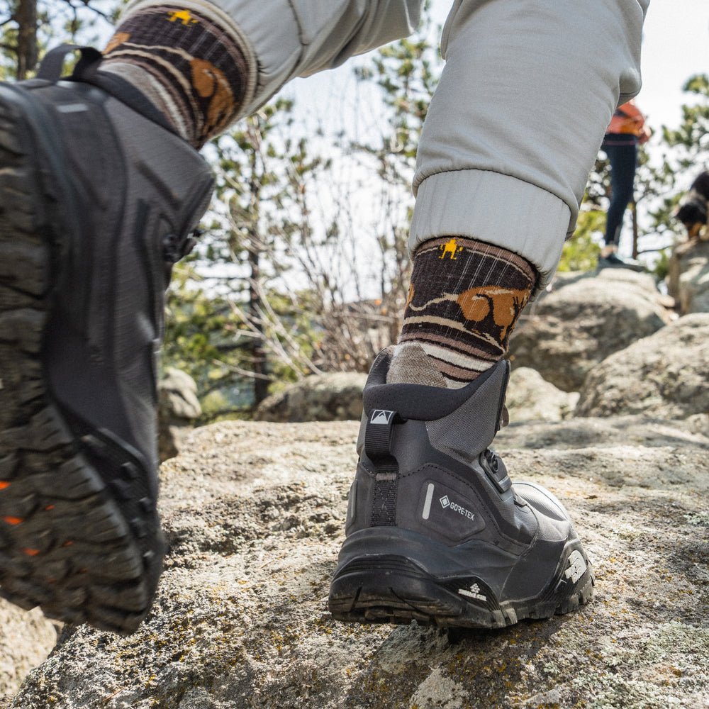 Smartwool Hike Bear Stripe Mid Crew