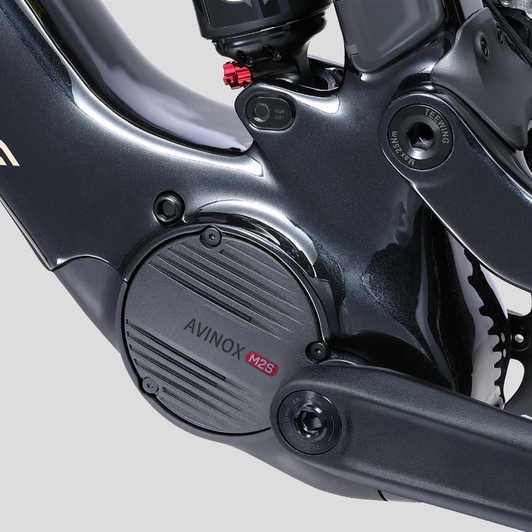 Motor Avinox M2S